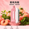 LANA Ultra II 一次性電子煙 16000口 10ml磁吸替換彈 智慧螢幕顯示【22種口味】