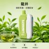 LANA Ultra II 一次性電子煙 16000口 10ml磁吸替換彈 智慧螢幕顯示【22種口味】
