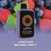 AONE VAPE CasinoX 賭場系列 一次性電子煙 16000口 13W/18W雙模式 全彩螢幕【11種口味】