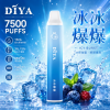 DIYA 一次性電子煙 7500口 13mL 1.2Ω網狀芯 Type-C充電【21種口味】