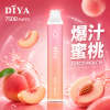DIYA 一次性電子煙 7500口 13mL 1.2Ω網狀芯 Type-C充電【21種口味】