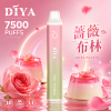 DIYA 一次性電子煙 7500口 13mL 1.2Ω網狀芯 Type-C充電【21種口味】