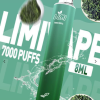 LIMI 哩咪 辣妹 一次性電子煙 7000口 8mL 1.1Ω雙網MESH芯【16種口味】
