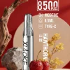 XIAOKE 梟客 口紅款 一次性電子煙｜8500口 8.5ml 氣流可調 Type-C充電【20種口味】