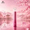XIAOKE 梟客 五代智能調壓主機｜三檔功率切換 380mAh 通用四/五代【5色】