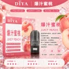 DIYA 叮啞 一代通用替換式煙彈 2.5mL 1.2Ω網狀芯 三入裝【26種口味】