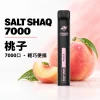 鯊克 SALT SHAQ 小黑條 拋棄式電子煙｜7000口 500mAh 1.0Ω霧化芯｜19種口味