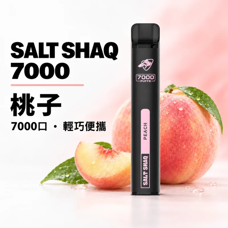 鯊克 SALT SHAQ 小黑條 拋棄式電子煙｜7000口 500mAh 1.0Ω霧化芯｜19種口味