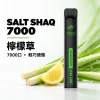 鯊克 SALT SHAQ 小黑條 拋棄式電子煙｜7000口 500mAh 1.0Ω霧化芯｜19種口味