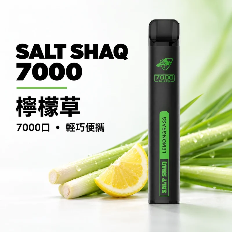 鯊克 SALT SHAQ 小黑條 拋棄式電子煙｜7000口 500mAh 1.0Ω霧化芯｜19種口味