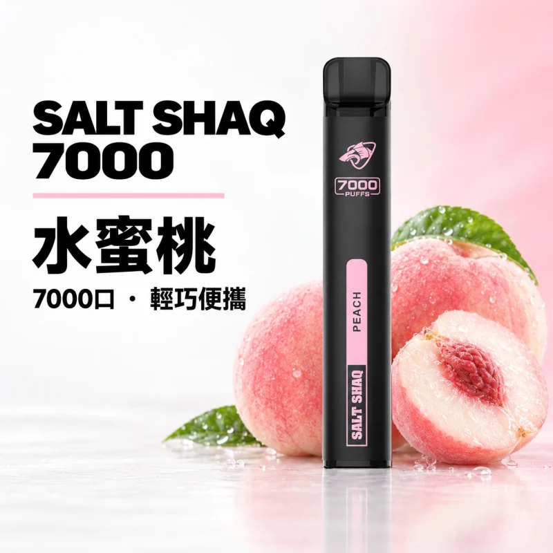 鯊克 SALT SHAQ 小黑條 拋棄式電子煙｜7000口 500mAh 1.0Ω霧化芯｜19種口味
