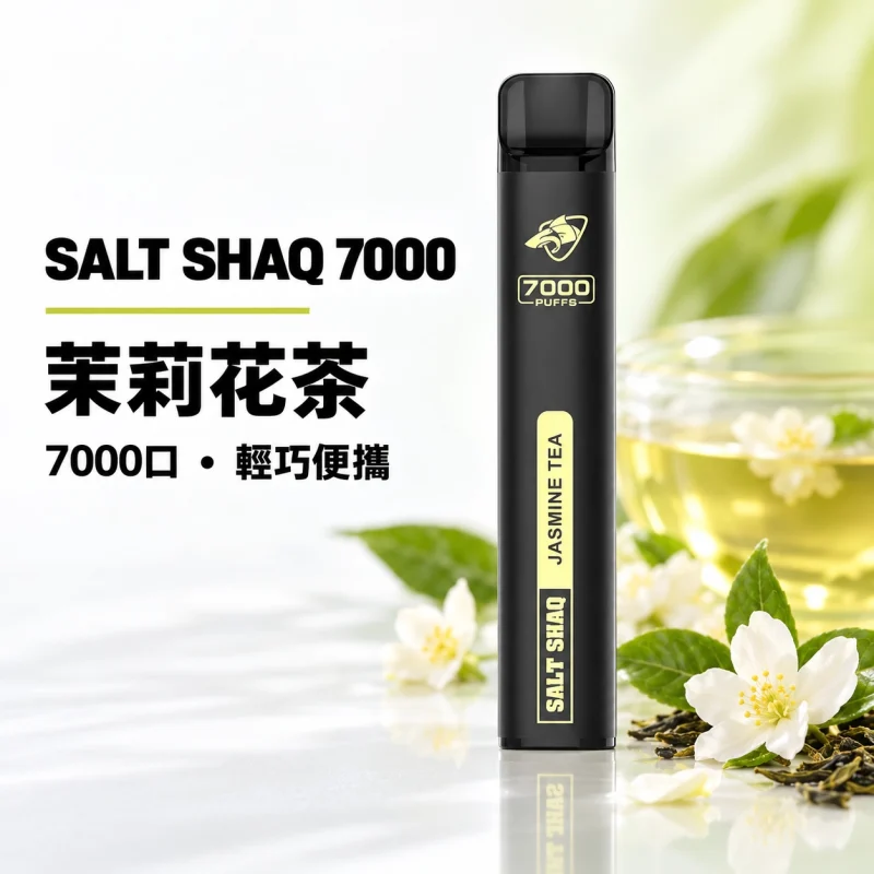 鯊克 SALT SHAQ 小黑條 拋棄式電子煙｜7000口 500mAh 1.0Ω霧化芯｜19種口味