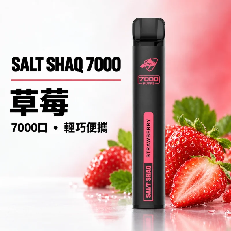 鯊克 SALT SHAQ 小黑條 拋棄式電子煙｜7000口 500mAh 1.0Ω霧化芯｜19種口味