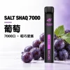 鯊克 SALT SHAQ 小黑條 拋棄式電子煙｜7000口 500mAh 1.0Ω霧化芯｜19種口味