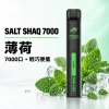鯊克 SALT SHAQ 小黑條 拋棄式電子煙｜7000口 500mAh 1.0Ω霧化芯｜19種口味