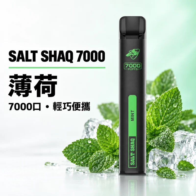 鯊克 SALT SHAQ 小黑條 拋棄式電子煙｜7000口 500mAh 1.0Ω霧化芯｜19種口味