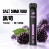 鯊克 SALT SHAQ 小黑條 拋棄式電子煙｜7000口 500mAh 1.0Ω霧化芯｜19種口味
