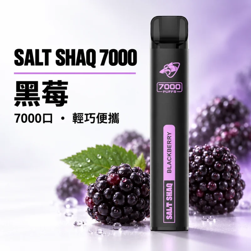鯊克 SALT SHAQ 小黑條 拋棄式電子煙｜7000口 500mAh 1.0Ω霧化芯｜19種口味